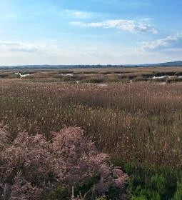 Sarvajc-kereszt és kilátó