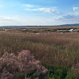 Sarvajc-kereszt és kilátó, Gárdony - Külső kép