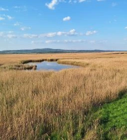 Sarvajc-kereszt és kilátó