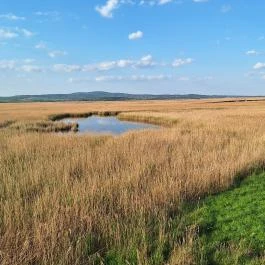 Sarvajc-kereszt és kilátó, Gárdony - Külső kép