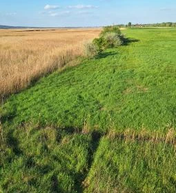 Sarvajc-kereszt és kilátó