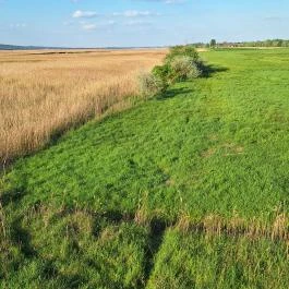 Sarvajc-kereszt és kilátó, Gárdony - Külső kép