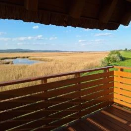 Sarvajc-kereszt és kilátó, Gárdony - Külső kép