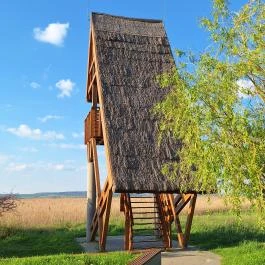 Sarvajc-kereszt és kilátó, Gárdony - Külső kép