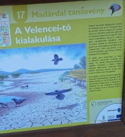 Sarvajc-kereszt és kilátó