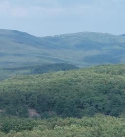 Sástói Kilátótorony