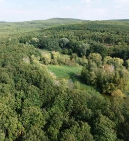 Sástói Kilátótorony