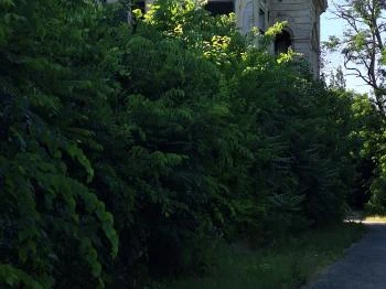 Schell kastély Tengelic