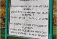 Várhegy-kilátó Mecseknádasd