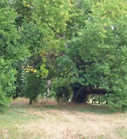 Schmidegg-Vigyázó kastély