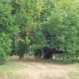 Schmidegg-Vigyázó kastély Nagyberki - Külső kép