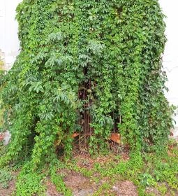 Schmidegg-Vigyázó kastély