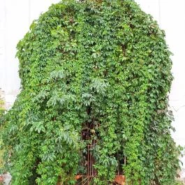 Schmidegg-Vigyázó kastély Nagyberki - Külső kép