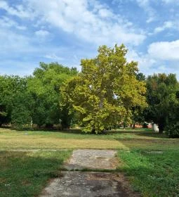 Schmidegg-Vigyázó kastély