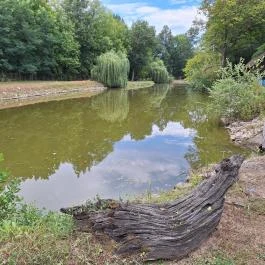 Schvarcz Malom Vendégház, Pápateszér - Környék