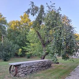 Schvarcz Malom Vendégház, Pápateszér - Külső kép