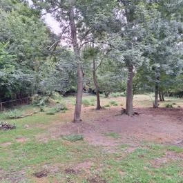 Schvarcz Malom Vendégház, Pápateszér - Környék