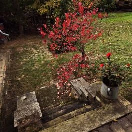 Schvarcz Malom Vendégház, Pápateszér - Külső kép