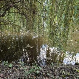 Schvarcz Malom Vendégház, Pápateszér - Külső kép