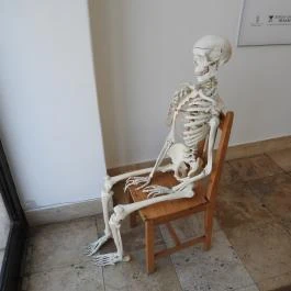 Semmelweis Orvostörténeti Múzeum, Könyvtár és Levéltár Budapest - Egyéb