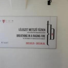 Semmelweis Orvostörténeti Múzeum, Könyvtár és Levéltár Budapest - Egyéb