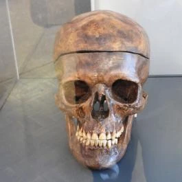 Semmelweis Orvostörténeti Múzeum, Könyvtár és Levéltár Budapest - Egyéb