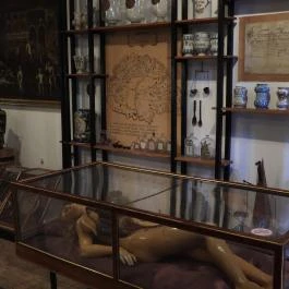 Semmelweis Orvostörténeti Múzeum, Könyvtár és Levéltár Budapest - Egyéb