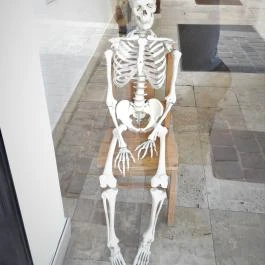 Semmelweis Orvostörténeti Múzeum, Könyvtár és Levéltár Budapest - Egyéb