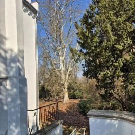 Sennyey-Bezerédj-Békássy kastély, Zsennye - Külső kép