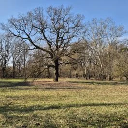 Sennyey-Bezerédj-Békássy kastély, Zsennye - Külső kép