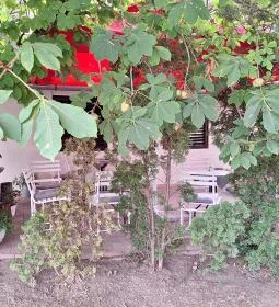 Sere's Kisvendéglő