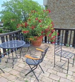 SHO TIHANY restaurant & fine csárda