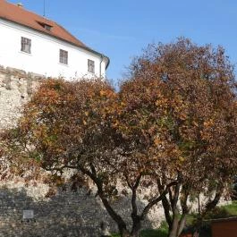 Siklósi Vár Siklós - Külső kép