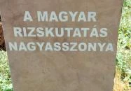 Simonné dr. Kiss Ibolya mellszobra Szarvas