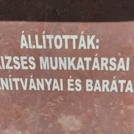 Simonné dr. Kiss Ibolya mellszobra, Szarvas - Egyéb