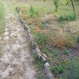 Táp Skanzen Táp - Egyéb