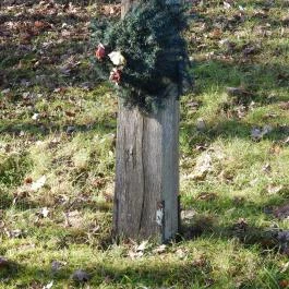 Sökfás temető, Márokföld - Egyéb