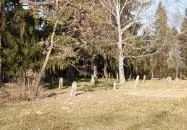 Sökfás temető Márokföld