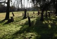 Sökfás temető Márokföld