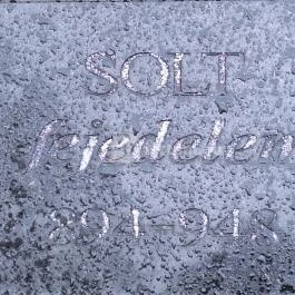 Solt fejedelem szobra, Solt - Egyéb