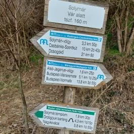 Solymári vár, Solymár - Egyéb