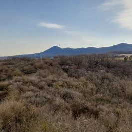 Solymári vár, Solymár - Egyéb