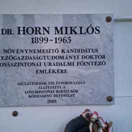 Somogyi-kastély, Lovászpatona - Egyéb