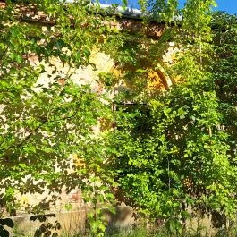 Somssich-kastély, Mike - Egyéb