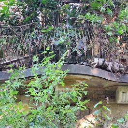 Somssich-kastély, Mike - Egyéb