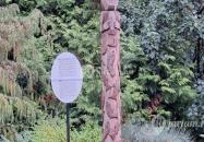 Soproni Botanikus Kert Sopron