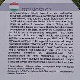 Soproni Botanikus Kert , Sopron - Egyéb