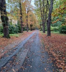 Soproni Botanikus Kert 