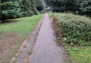 Soproni Botanikus Kert Sopron