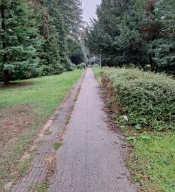 Soproni Botanikus Kert 